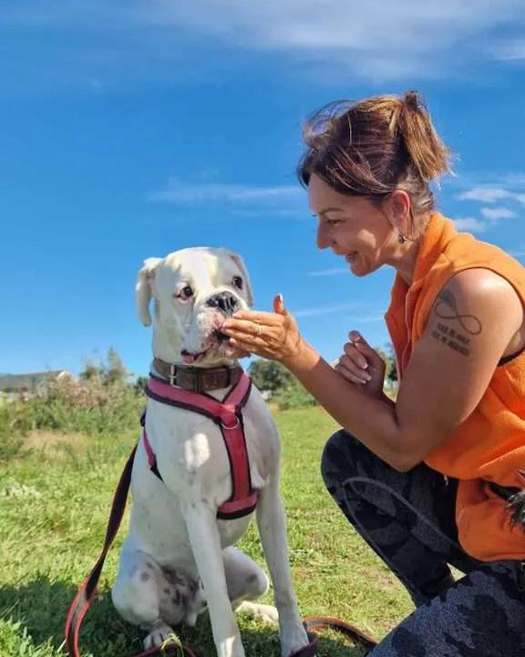 Justyna crouching in the sun, feeding a white Boxer a treat