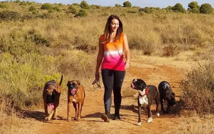 Justyna walking four Boxers along a sunlit trail
